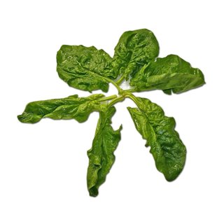 Baby Spinach, 200 g