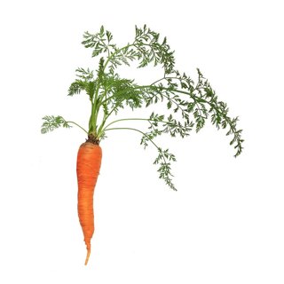 Carrots, 1 kg